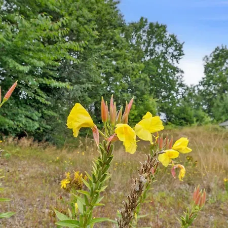 - 300m From The Sea By Interhome