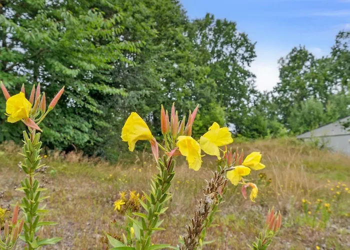 - 300m From The Sea By Interhome